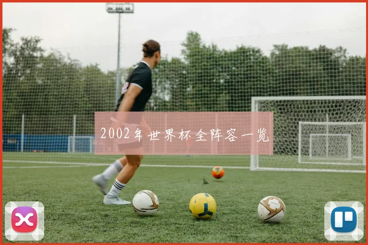 2002年世界杯全阵容一览